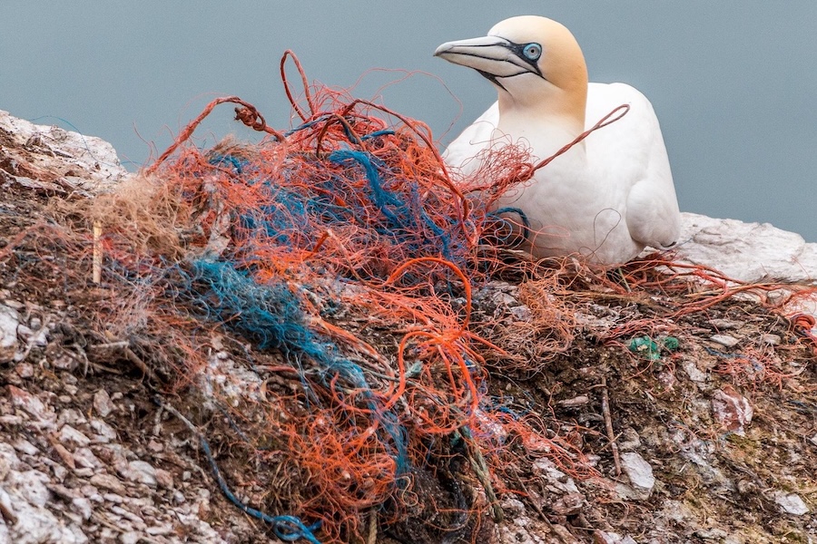 Un nouveau type de tamis détecte plus facilement que jamais les plus petits morceaux de plastique dans l’environnement
