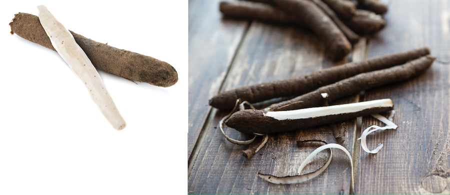 Le salsifis : une racine ancestrale au charme actuel