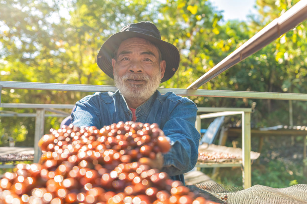 Journée internationale du café 2025 : coopératives, solidarité et solutions durables