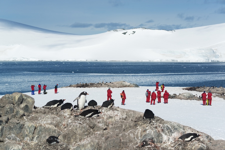 L’Antarctique : ce coffre-fort glacé placé sous haute surveillance