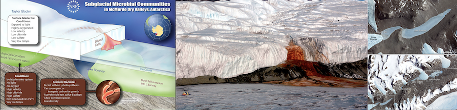 L’Antarctique : ce coffre-fort glacé placé sous haute surveillance