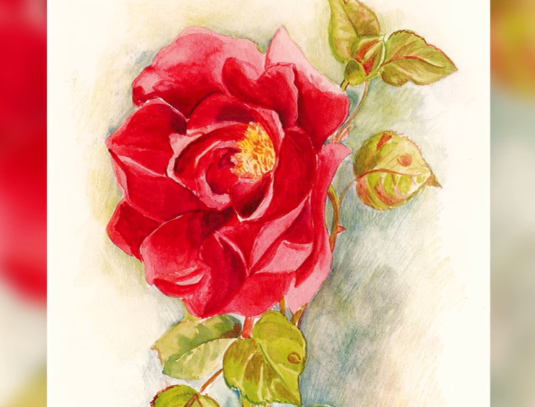 Yvonne-Aimée de Malestroit, religieuse aux nombreux miracles et révélations mystiques, héroïne de la Résistance (2/2)