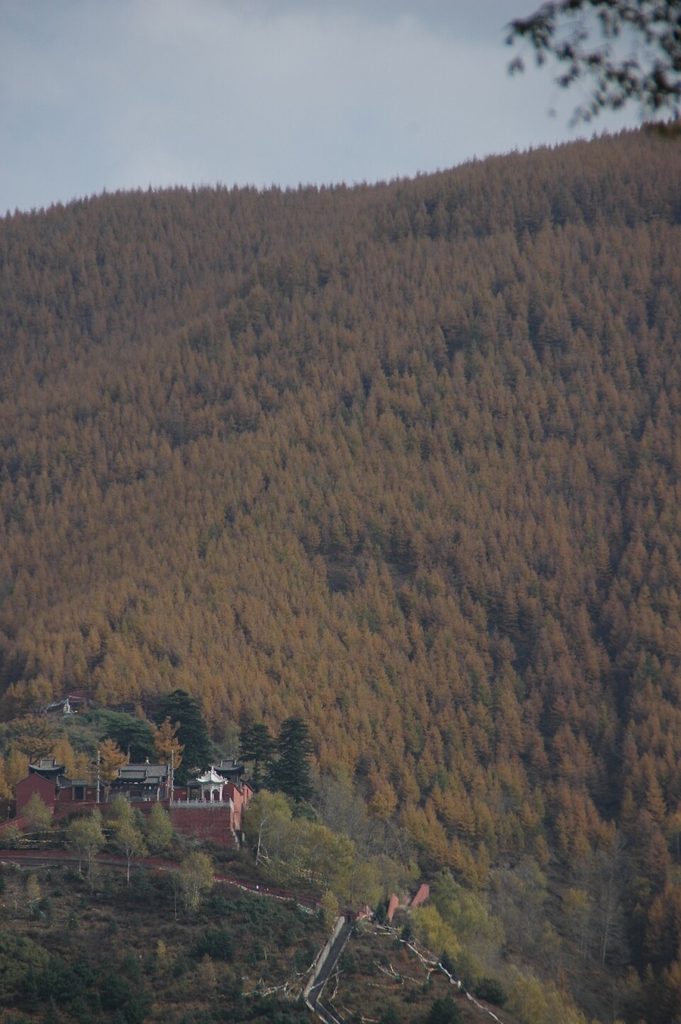Prédictions ? La montagne et le moment où la bonté sauva une vie