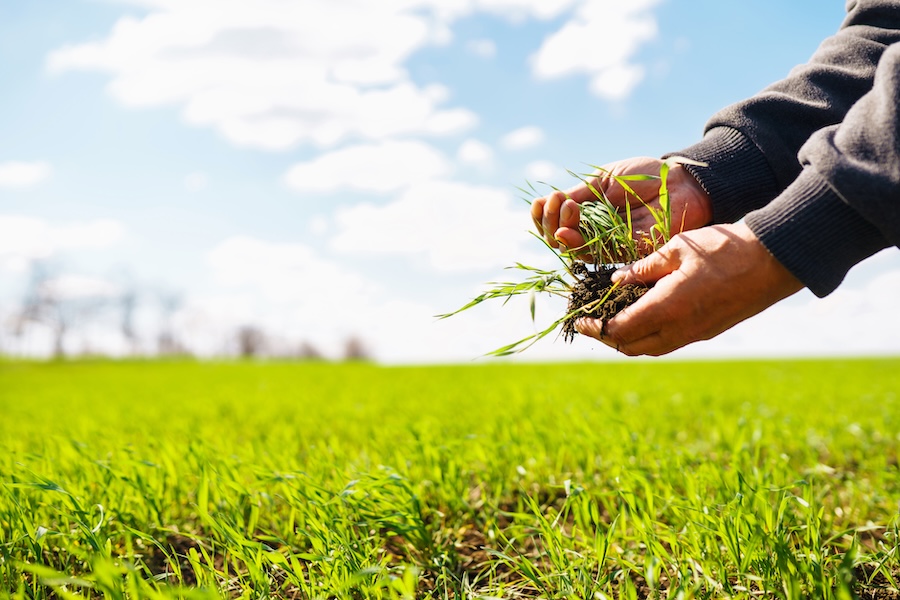 L’influenceur le plus lent au monde prône la pleine conscience rurale et l’art du silence numérique