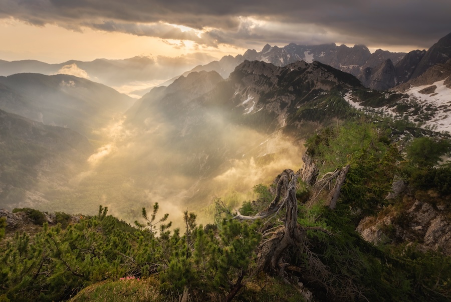 L’influenceur le plus lent au monde prône la pleine conscience rurale et l’art du silence numérique