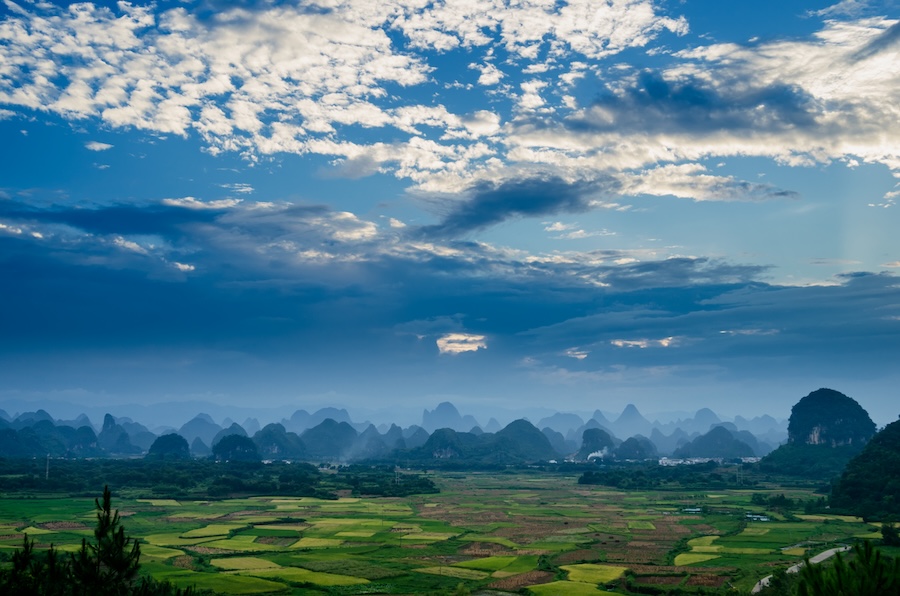 L’influenceur le plus lent au monde prône la pleine conscience rurale et l’art du silence numérique