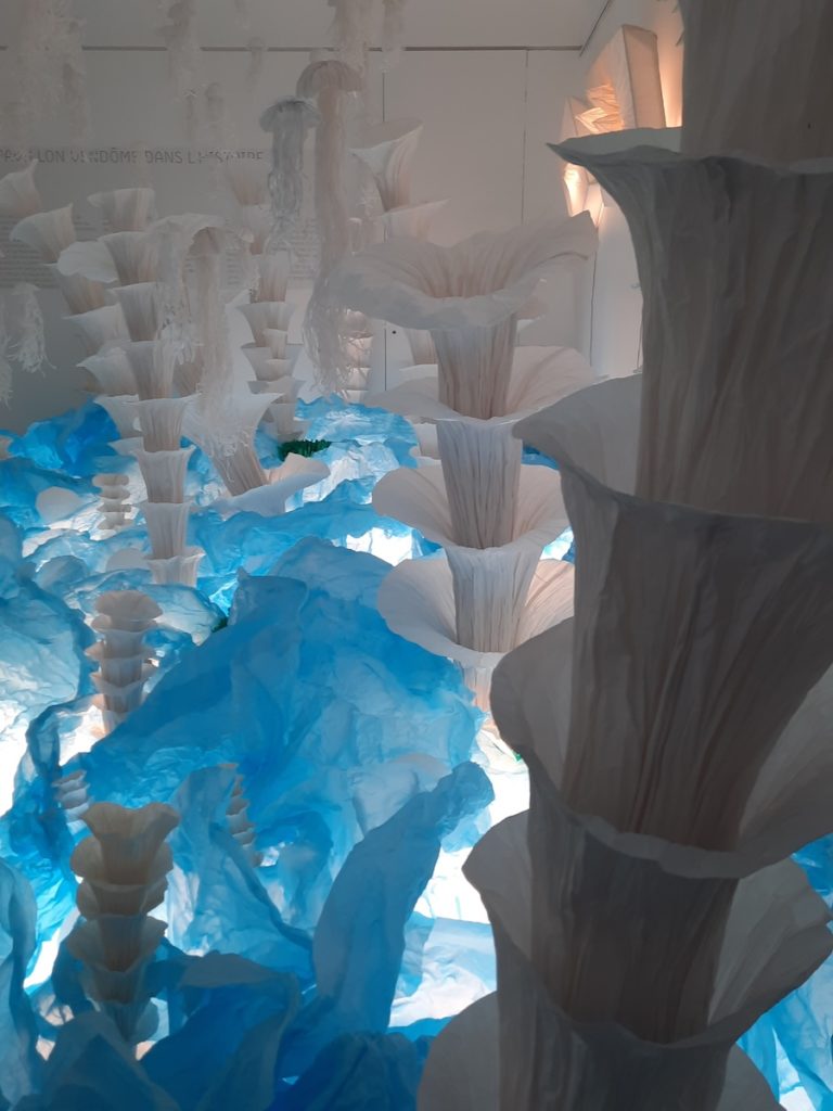 Junior Fritz Jacquet : Sculpteur de papier
