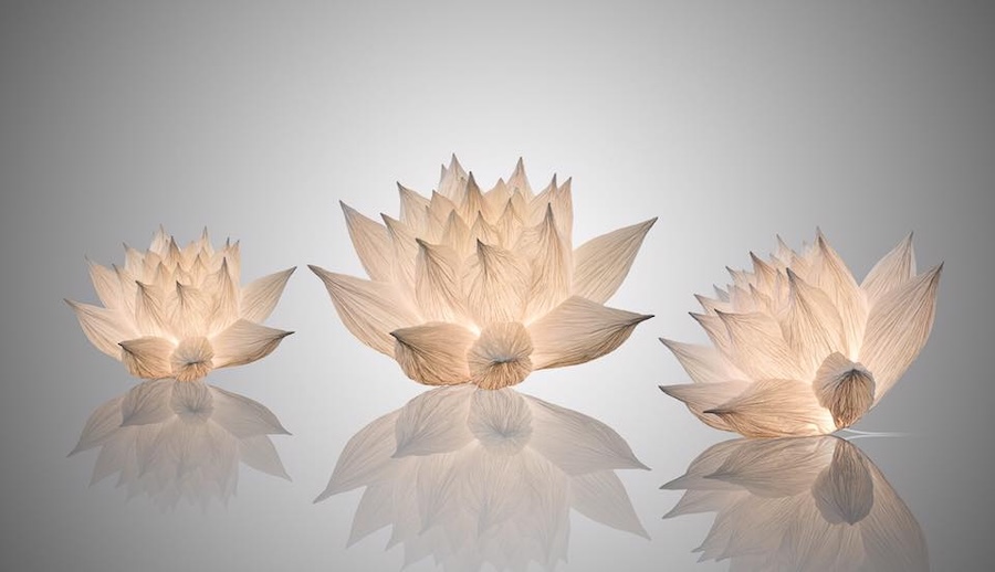 Junior Fritz Jacquet : Sculpteur de papier
