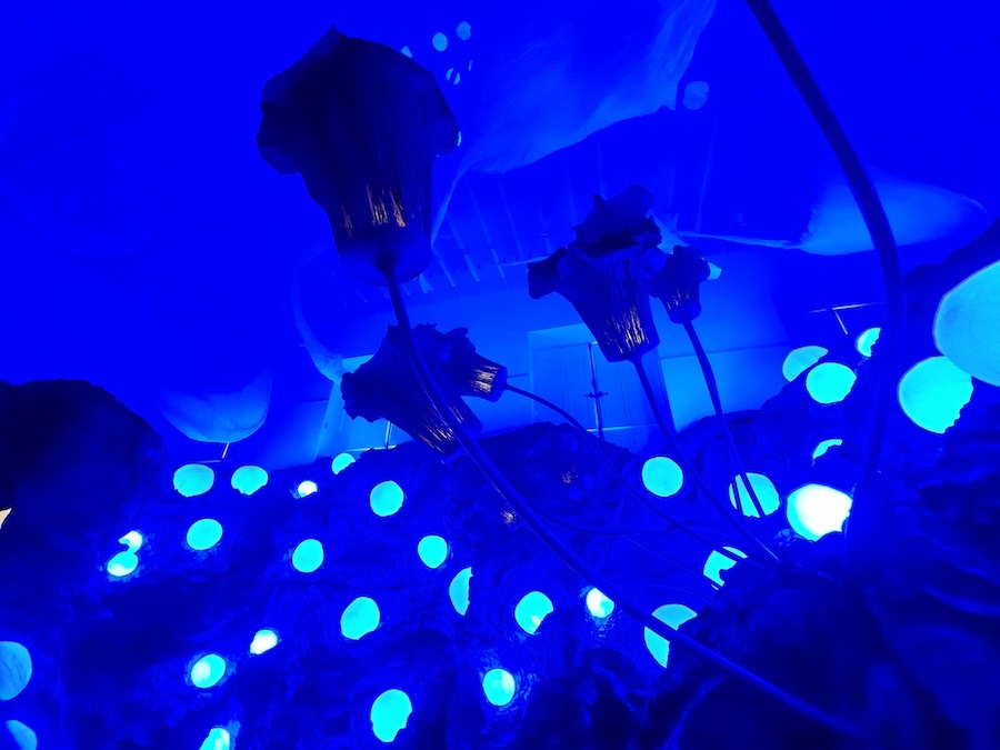 Junior Fritz Jacquet : Sculpteur de papier
