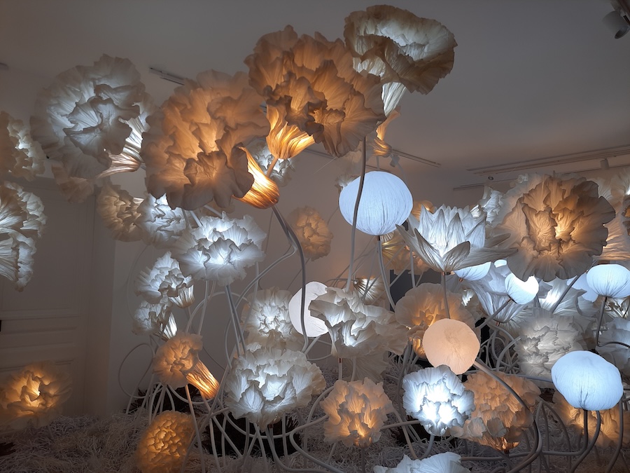 Junior Fritz Jacquet : Sculpteur de papier
