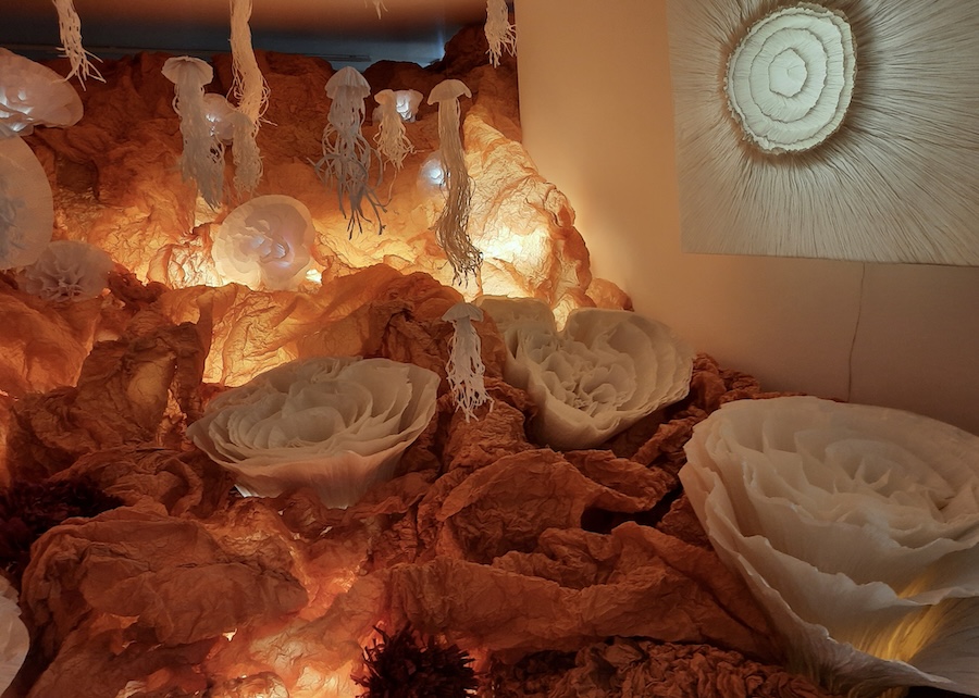 Junior Fritz Jacquet : Sculpteur de papier
