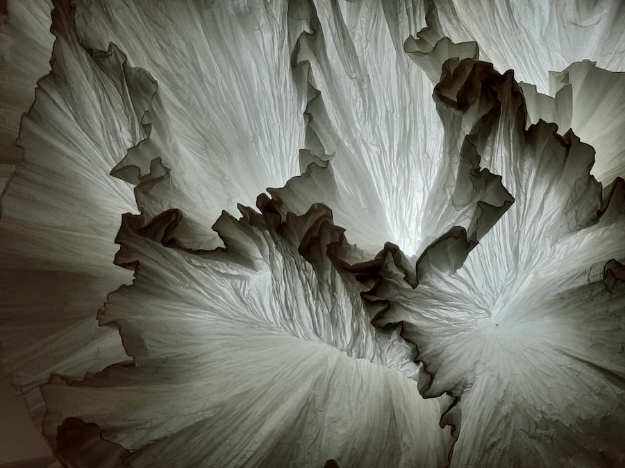 Junior Fritz Jacquet : Sculpteur de papier
