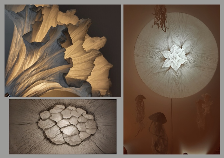 Junior Fritz Jacquet : Sculpteur de papier
