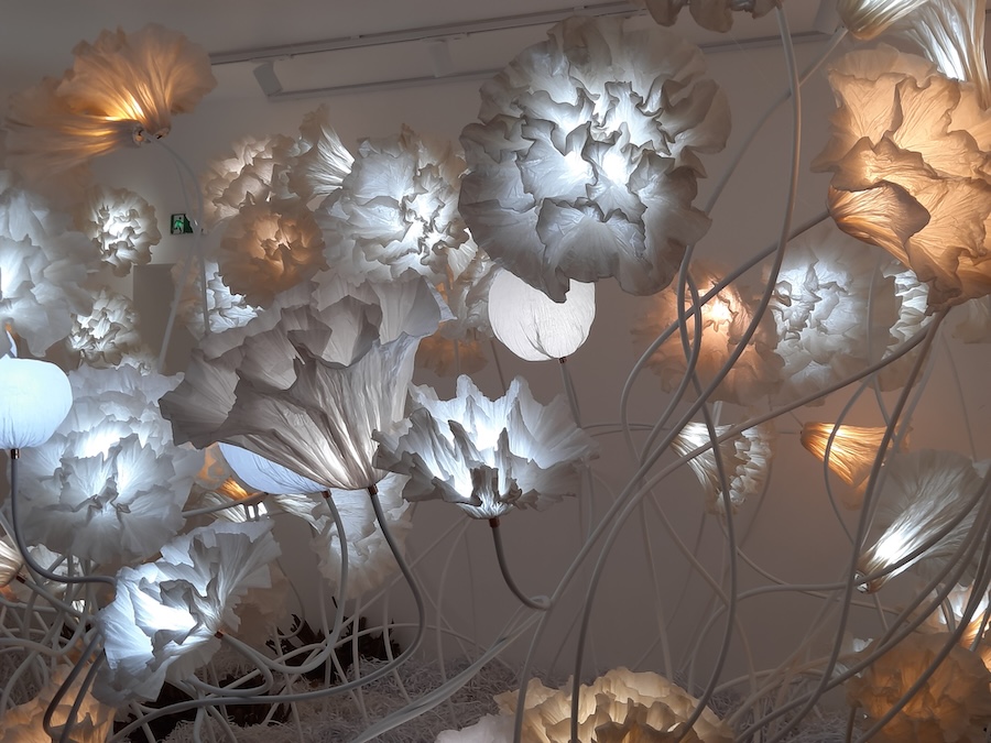 Junior Fritz Jacquet : Sculpteur de papier
