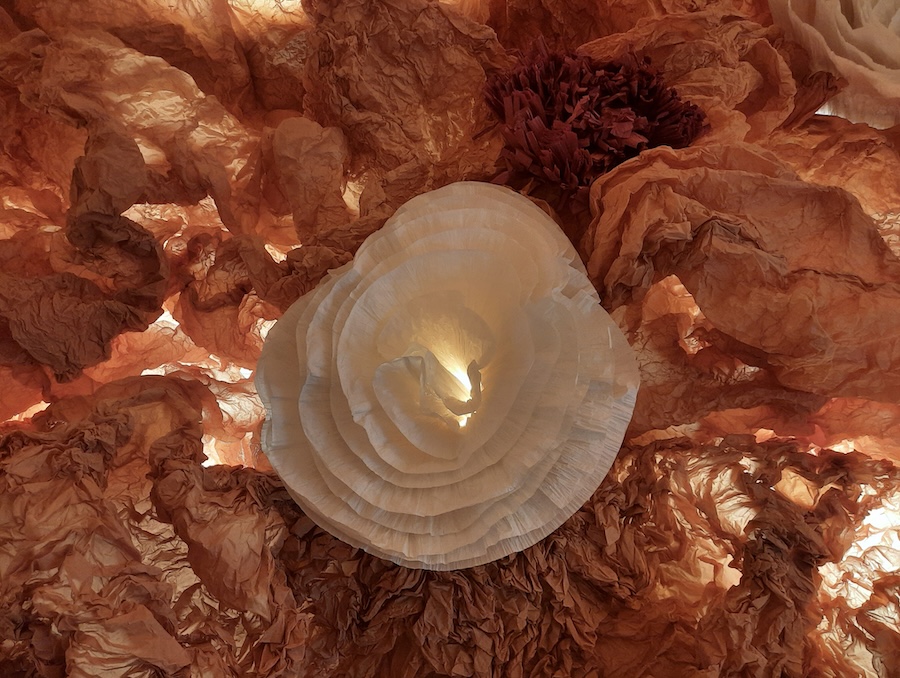 Junior Fritz Jacquet : Sculpteur de papier
