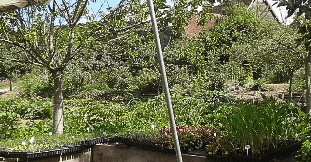 Les microfermes, accessibles et productives, portent le sens initial de l'agriculture