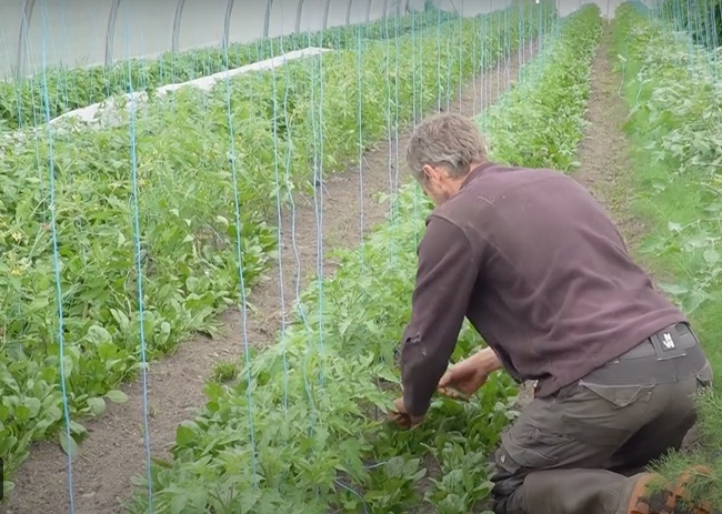 Les microfermes, accessibles et productives, portent le sens initial de l'agriculture