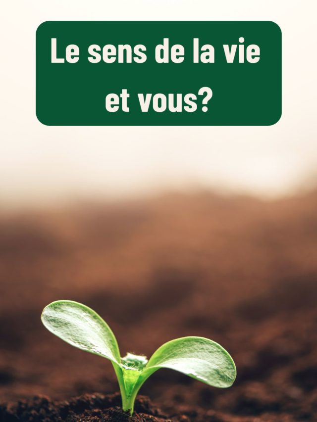 Le sens de la vie et vous?