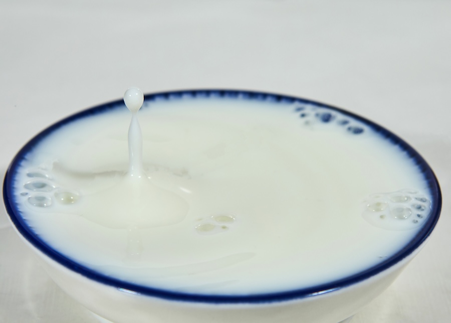 Le filmjölk : une boisson délicieuse, un petit goût de Suède