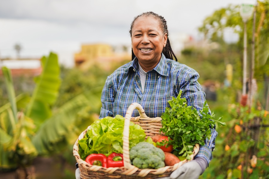 Quels légumes sont les plus riches en fibres et pourquoi il est important d’en consommer suffisamment