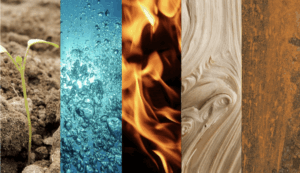 L’harmonie du Ciel et de la Terre : comment les cinq éléments lient la nature, les saisons et la santé