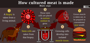 Le bœuf cultivé en laboratoire peut-il vraiment répondre à la demande mondiale de viande