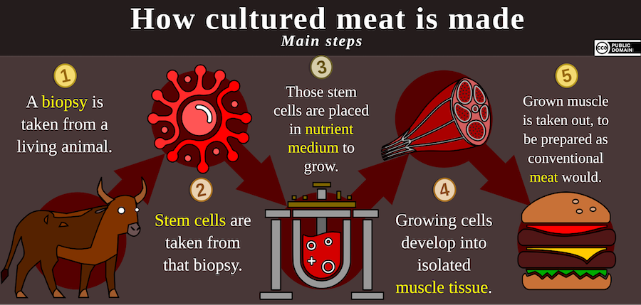 Le bœuf cultivé en laboratoire peut-il vraiment répondre à la demande mondiale de viande