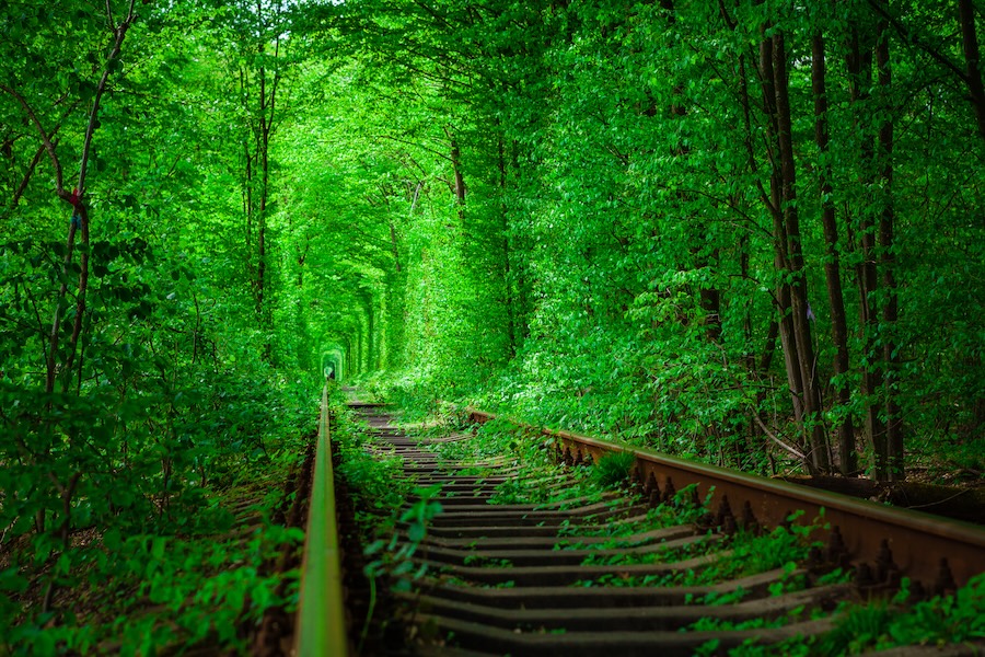 C’est ainsi qu’agit une personne véritablement forte