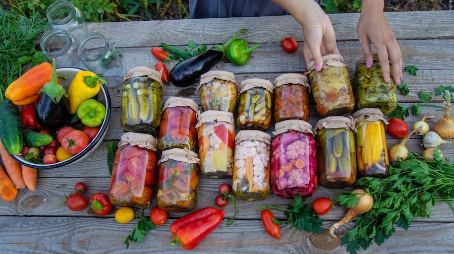 Les aliments fermentés préservent à la fois les microbiomes et le patrimoine culturel