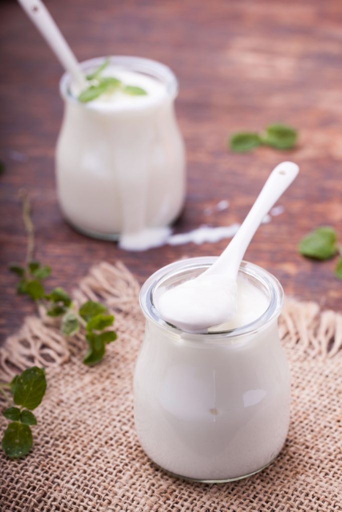 Les aliments fermentés préservent à la fois les microbiomes et le patrimoine culturel
