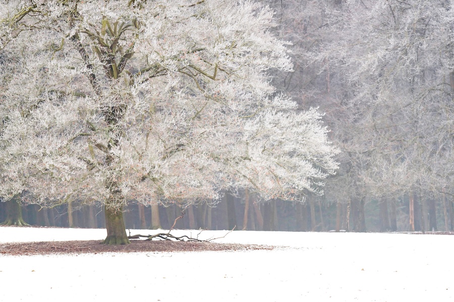 Le pouvoir de la définition d’objectifs saisonniers : aligner ses ambitions sur les cycles de la nature
