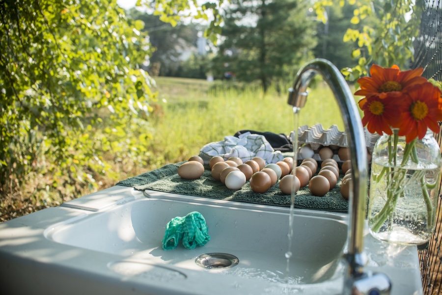 La soupe Zhuque : un secret ancestral de bien-être qui transforme votre corps en seulement une semaine
