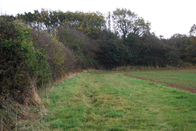 Des plantations de haies pour une meilleure qualité de l'eau