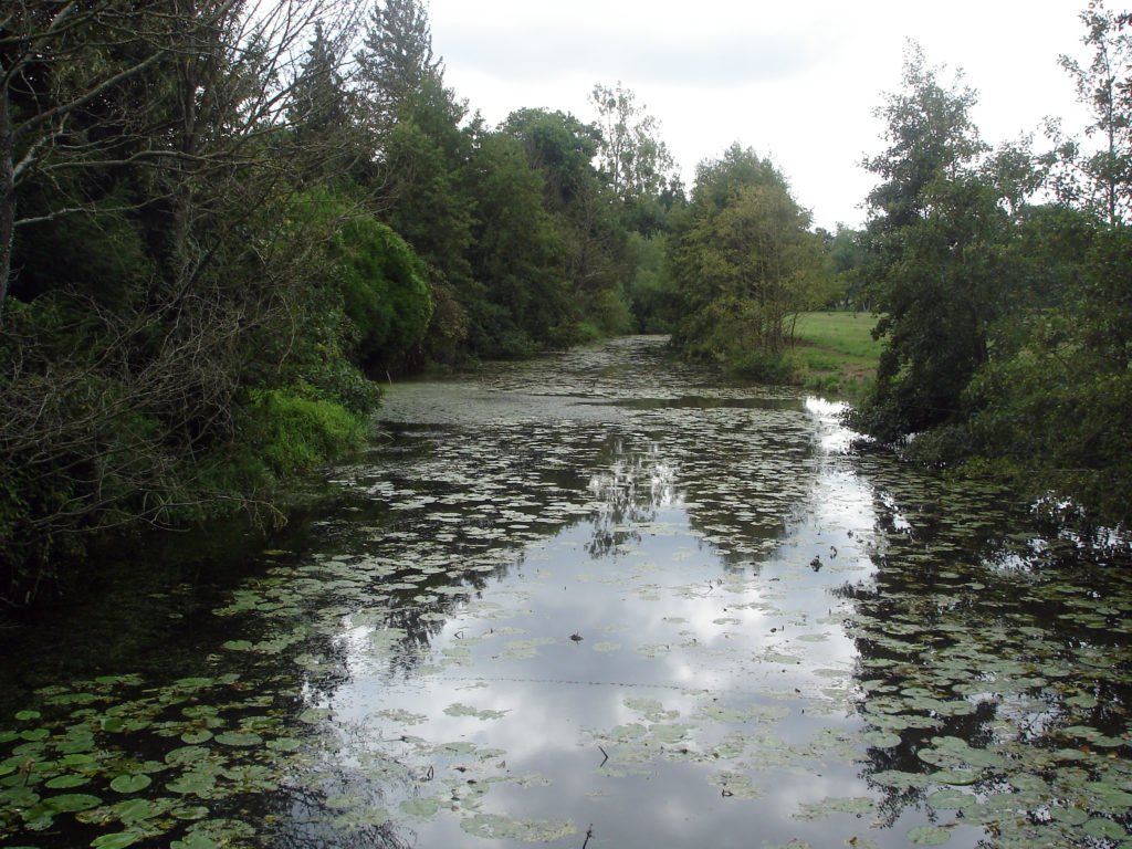 Des plantations de haies pour une meilleure qualité de l'eau