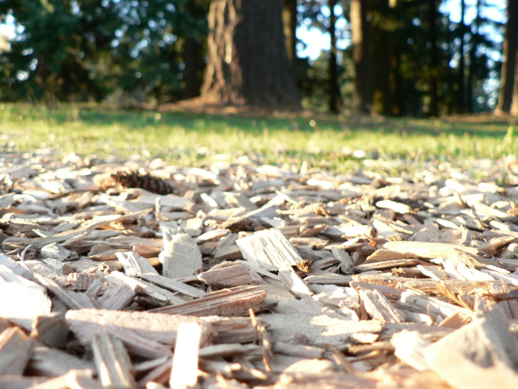 Des plantations de haies pour une meilleure qualité de l'eau