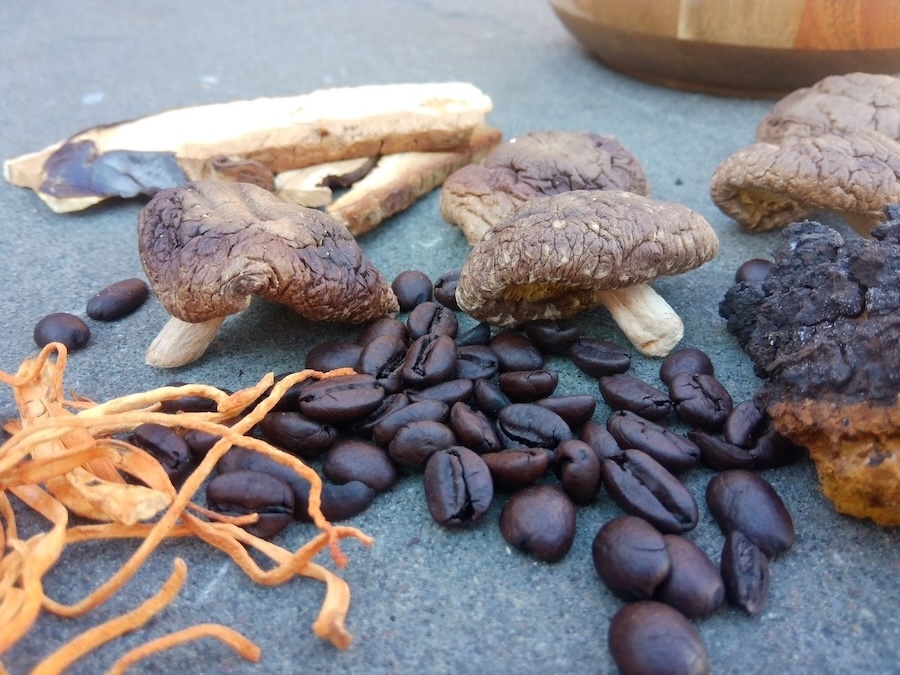 Graines de sagesse ou illusion ? Le café aux champignons : vérité et réalité