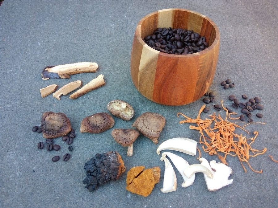 Graines de sagesse ou illusion ? Le café aux champignons : vérité et réalité
