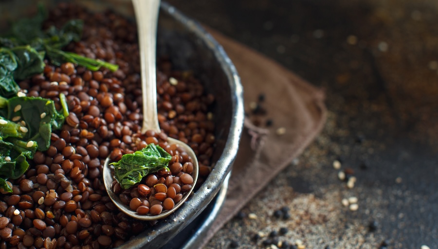 Trois méthodes naturelles efficaces pour réparer les dommages attribués à un manque de calcium