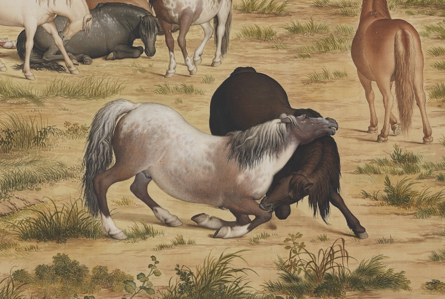 L’année du Cheval : personnalité, compatibilité et prévision pour 2026