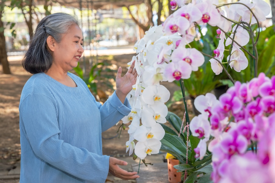 Sur les traces des racines de la culture traditionnelle chinoise à travers les fleurs et les plantes
