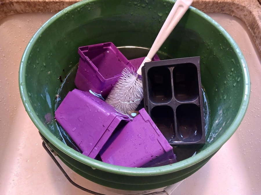 Jardinage en mars : seize tâches à accomplir ce mois-ci