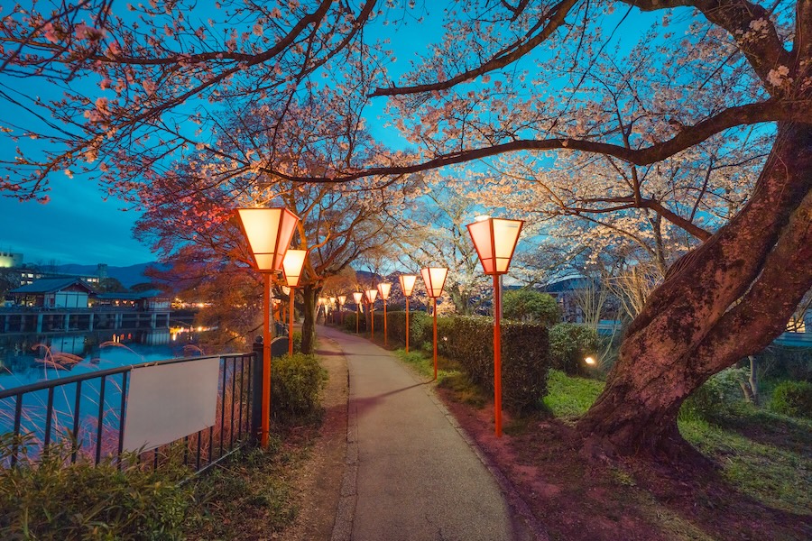Pourquoi la culture de la propreté au Japon trouve ses racines dans la dynastie Tang chinoise 