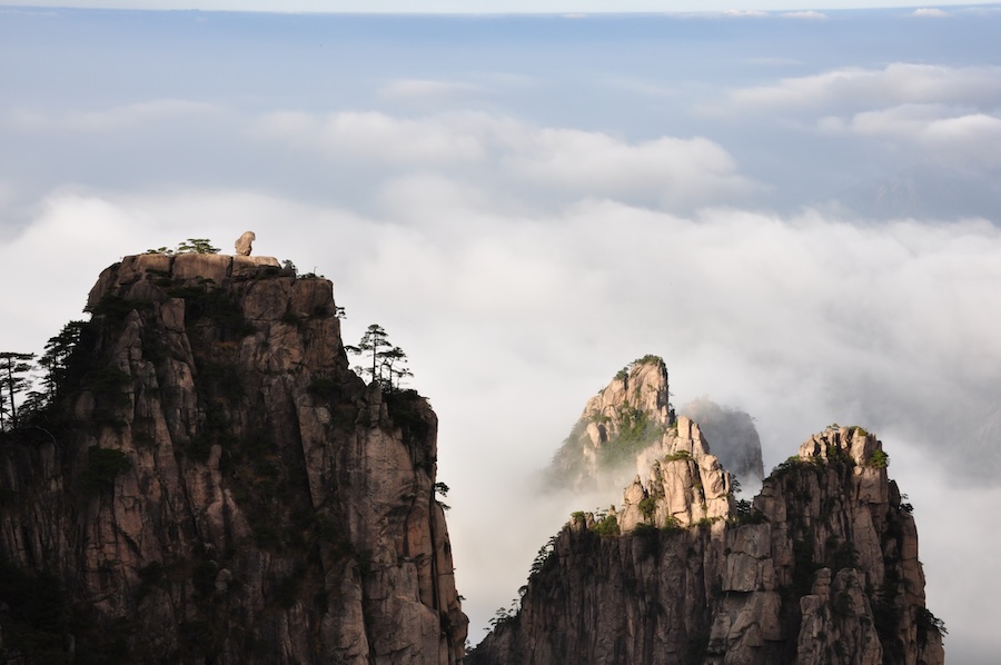 La légende du champignon Lingzhi, symbole d’immortalité