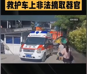 Chine : un ex-informateur révèle son implication dans un réseau de surveillance ciblée et de prélèvements forcés d’organes au Hubei