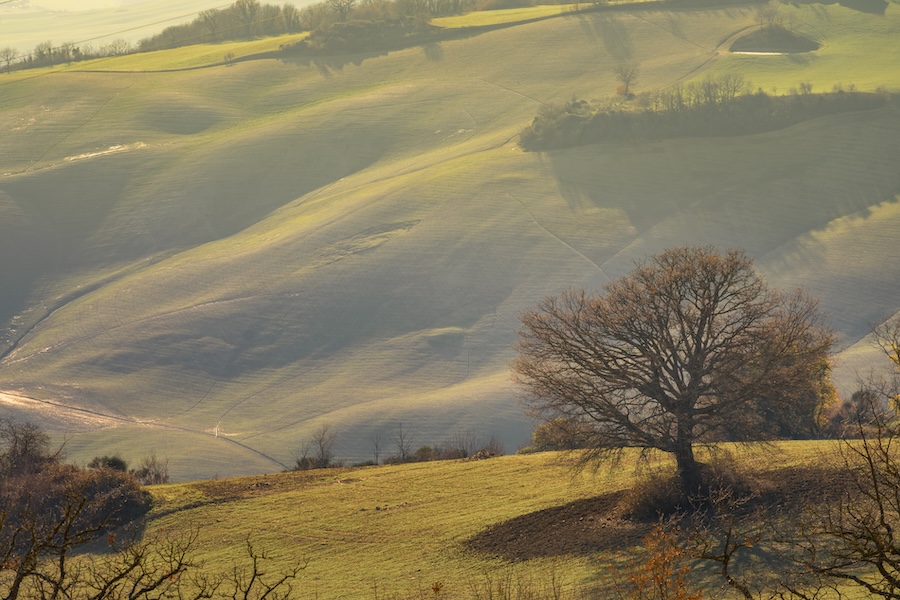 Considérer les choses du point de vue des autres pour faire le bon choix 