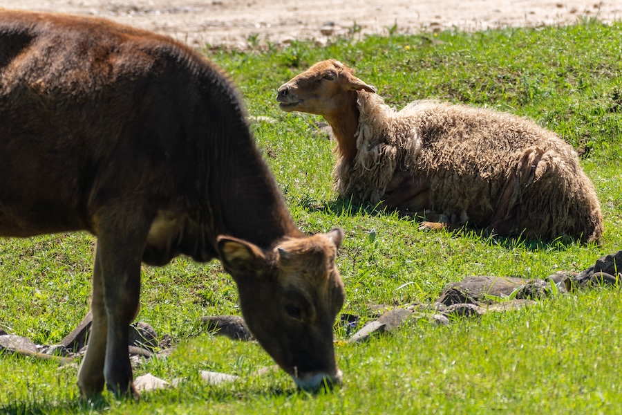 Considérer les choses du point de vue des autres pour faire le bon choix 

