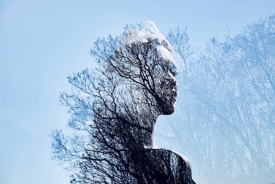 Des vies dont on se souvient : explorer les preuves de la réincarnation