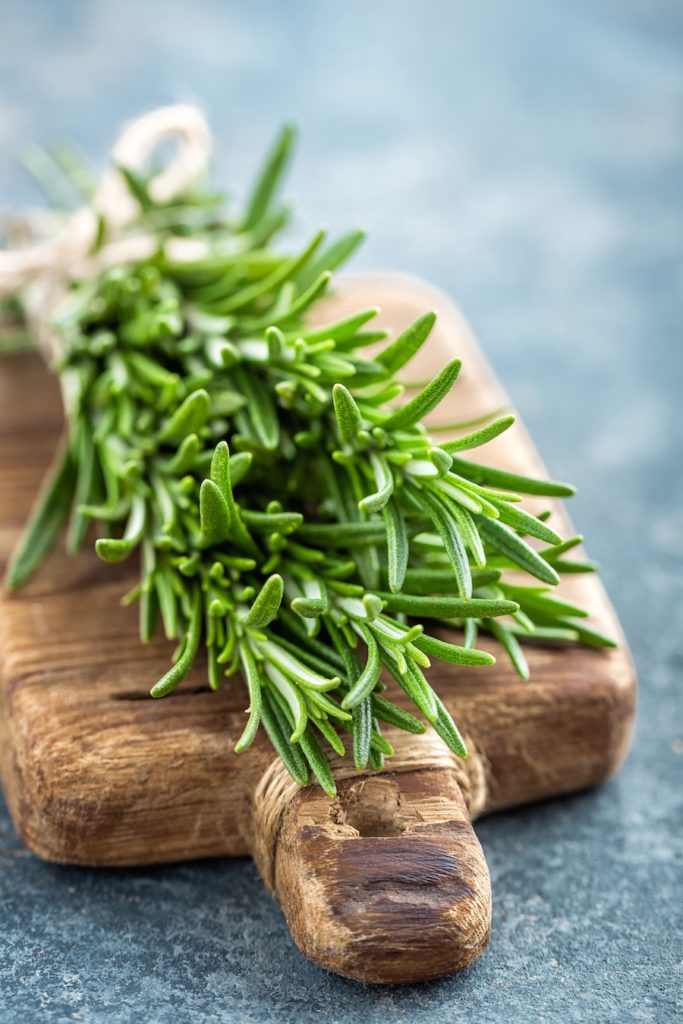Les vertus des remèdes traditionnels, connaître et cultiver les plantes médicinales : le romarin (12/15)