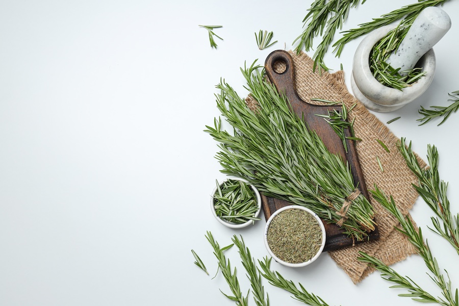 Les vertus des remèdes traditionnels, connaître et cultiver les plantes médicinales : le romarin (12/15)