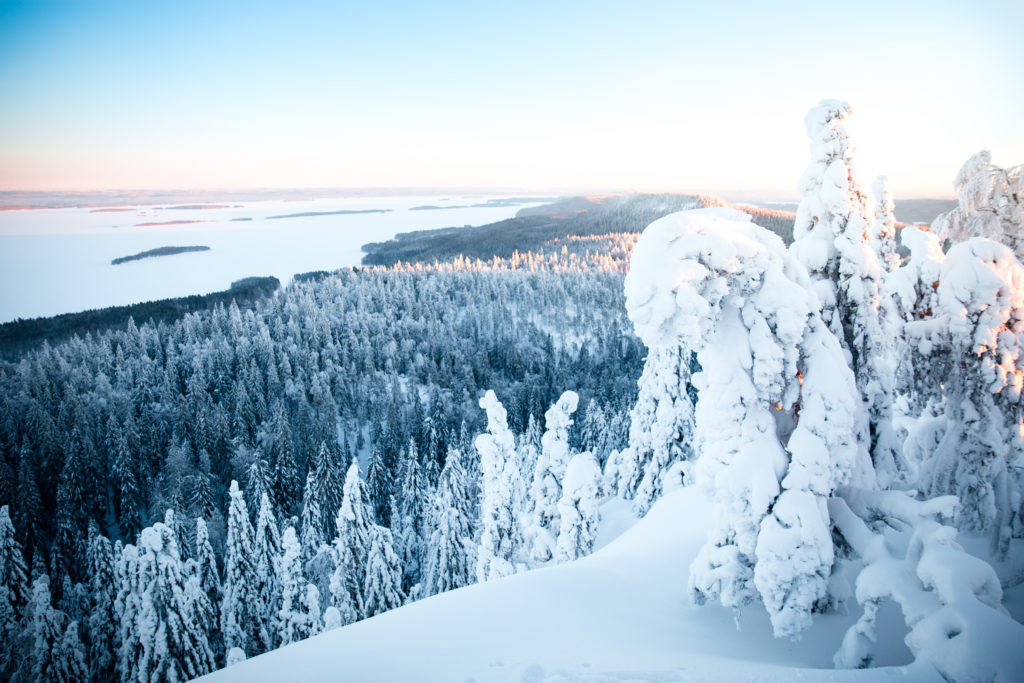 Sisu finlandais : ce courage silencieux qui fait écho aux sagesses chinoises